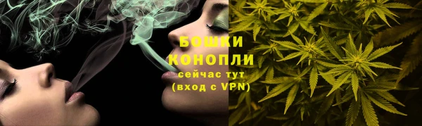 ПСИЛОЦИБИНОВЫЕ ГРИБЫ Ельня