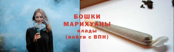 ПСИЛОЦИБИНОВЫЕ ГРИБЫ Ельня