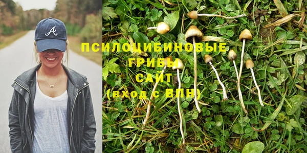 стаф Елабуга