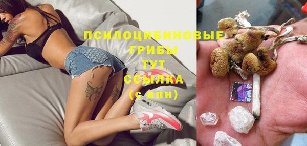 соль курить ск Дмитров