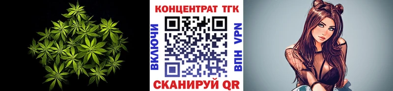 Купить закладки  Пустошка  ТГК гашишное масло 
