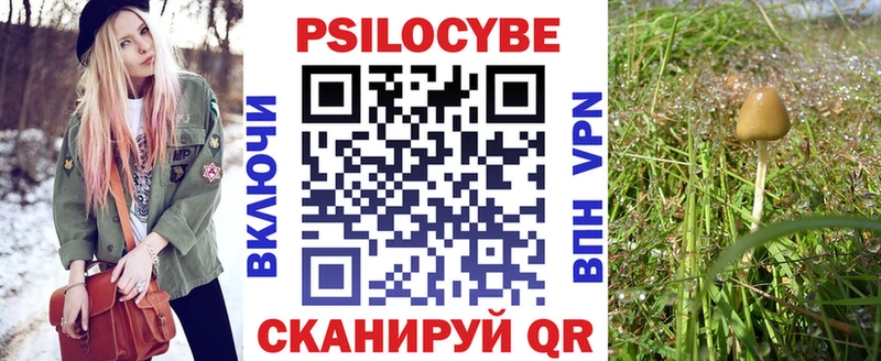 Купить  Пустошка  Галлюциногенные грибы Psilocybine cubensis 